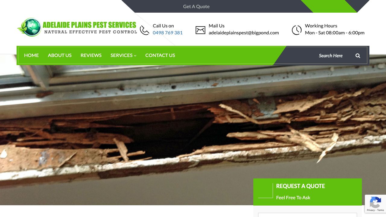Adelaide Plains Pest Services original website