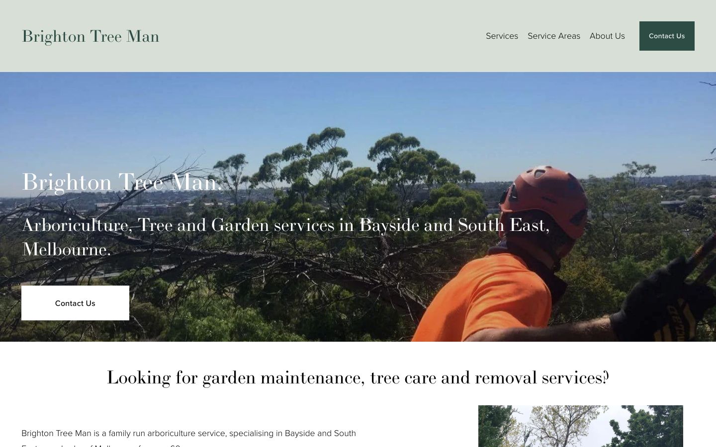 Brighton Tree Man original website