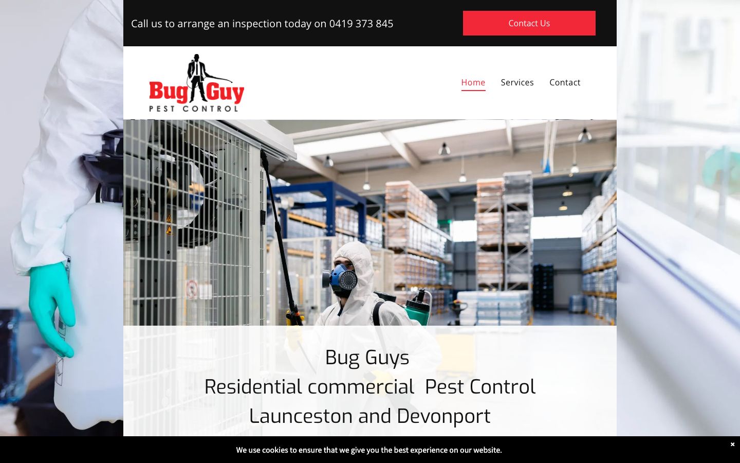 Bug Guys original website