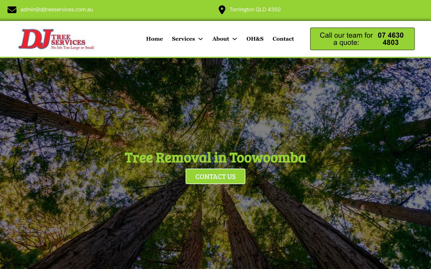 DJ Tree Services original website