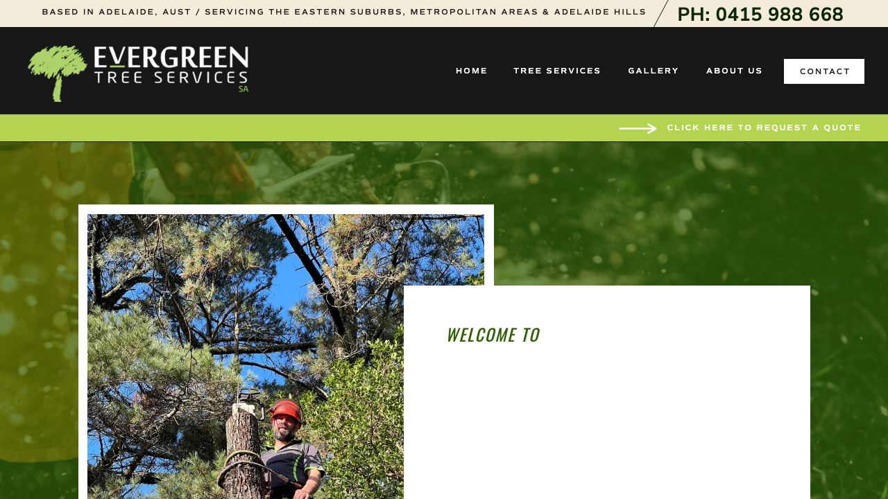 Evergreen Tree Services SA original website