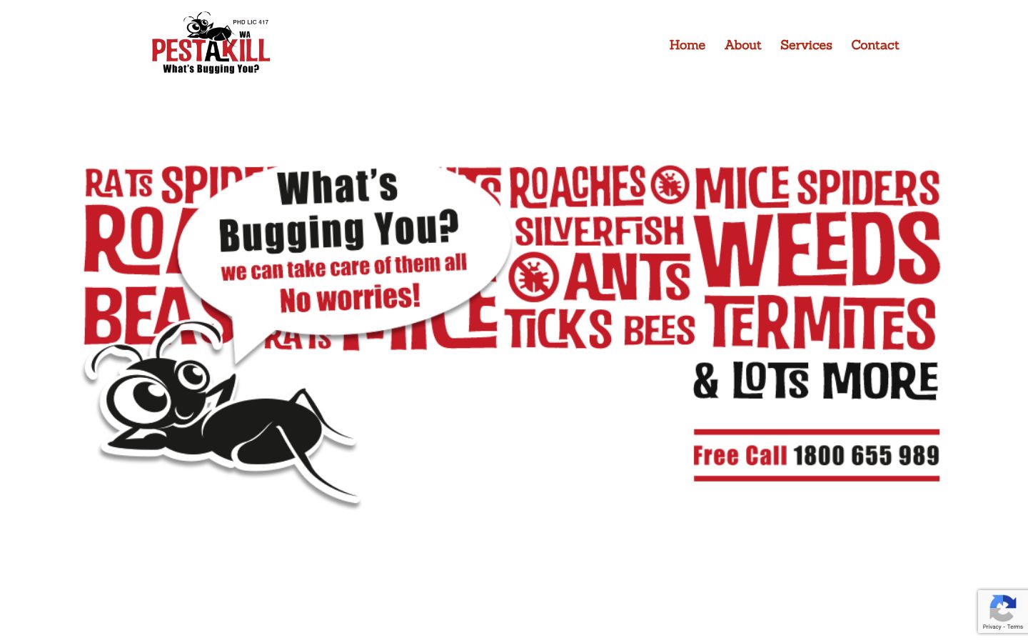 Pest-A-Kill WA original website