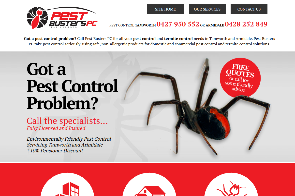 Pest Busters PC original website