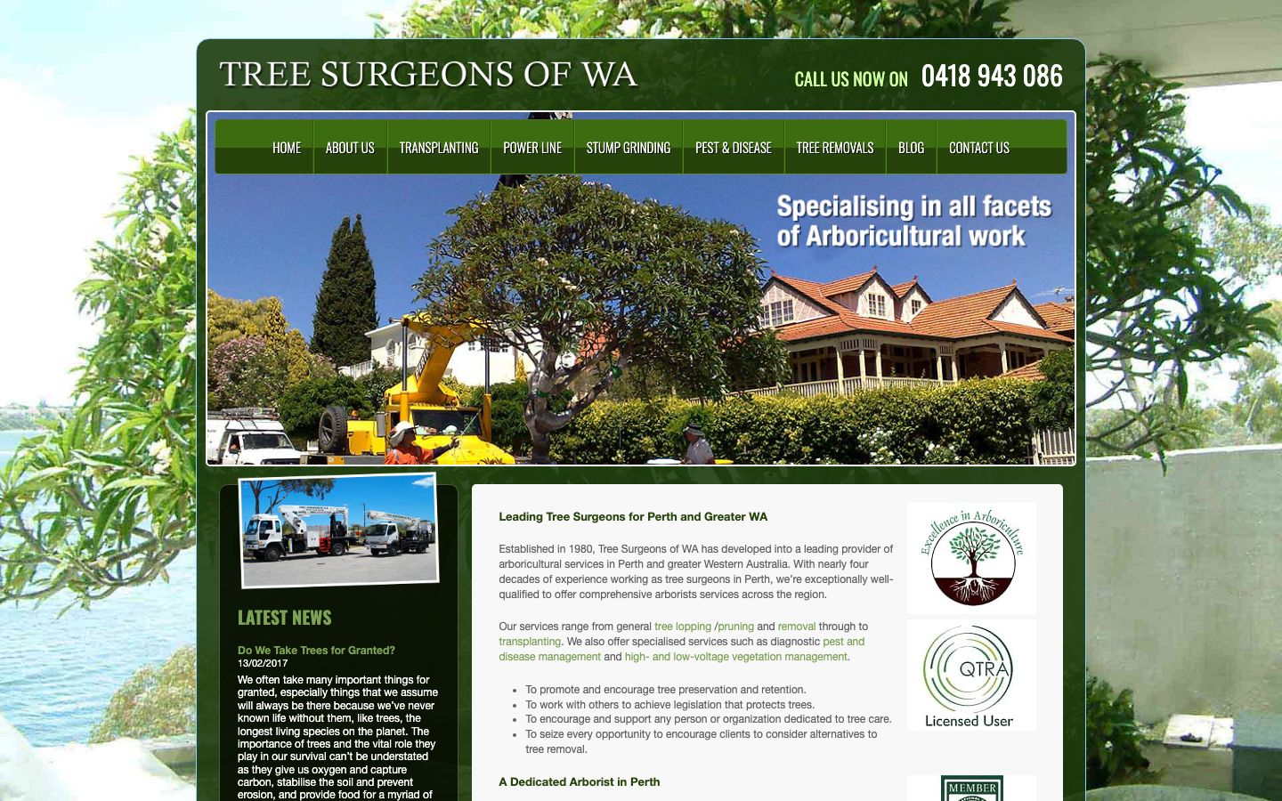 Tree Surgeons of WA original website